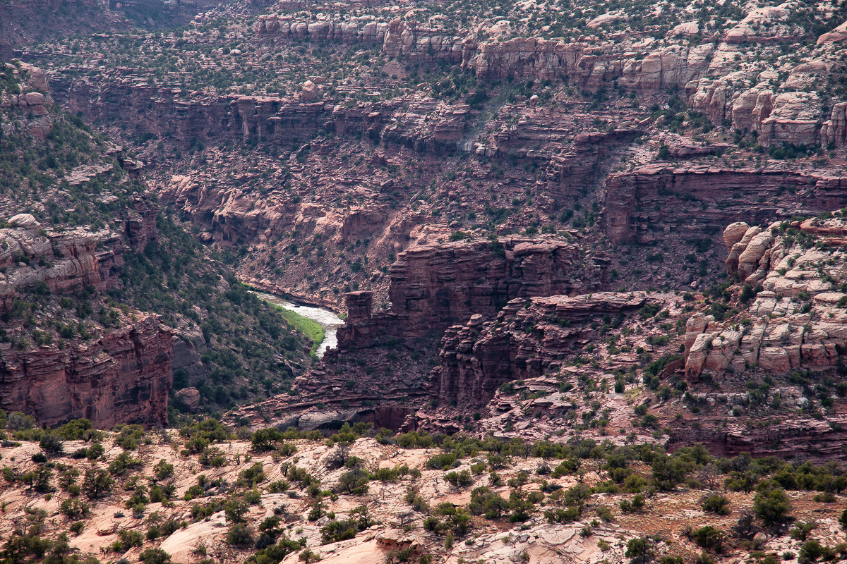 Dolores River Canyon