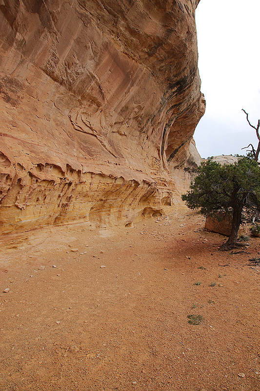 Little Dolores River Cliff Line