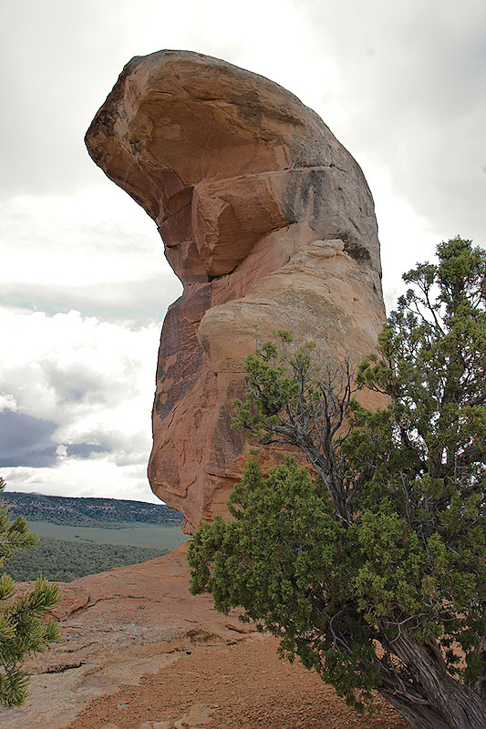 Potato Rock