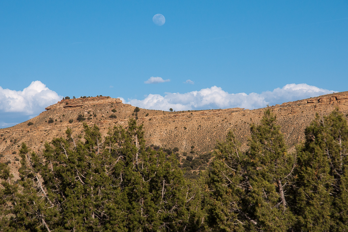 Thompson East Bench Moon