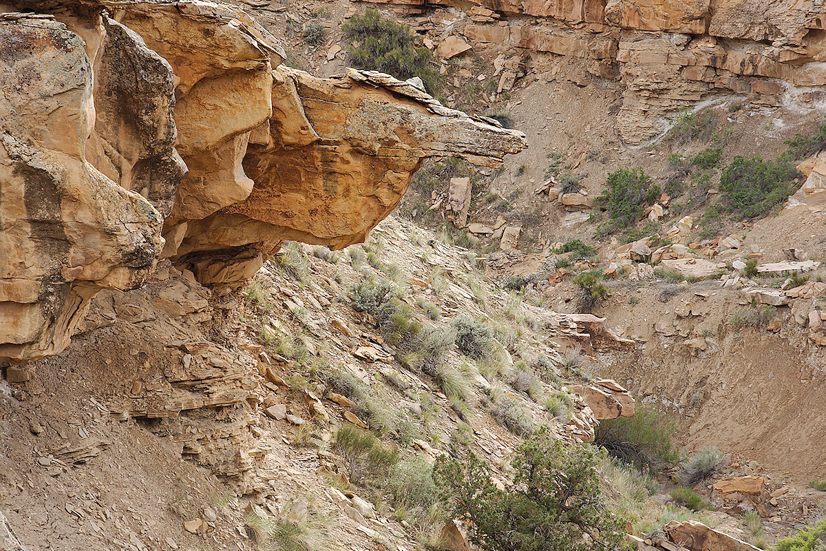 Gargoyle Canyon