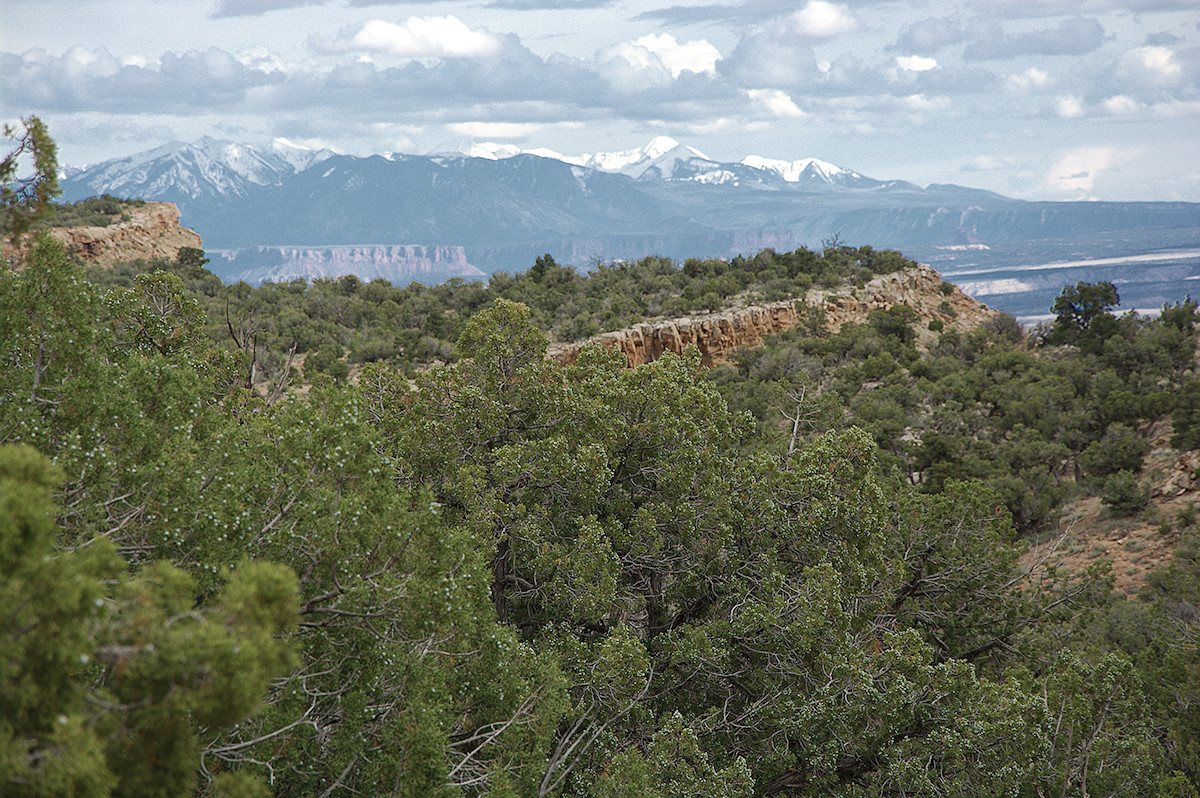 LaSal Mountains