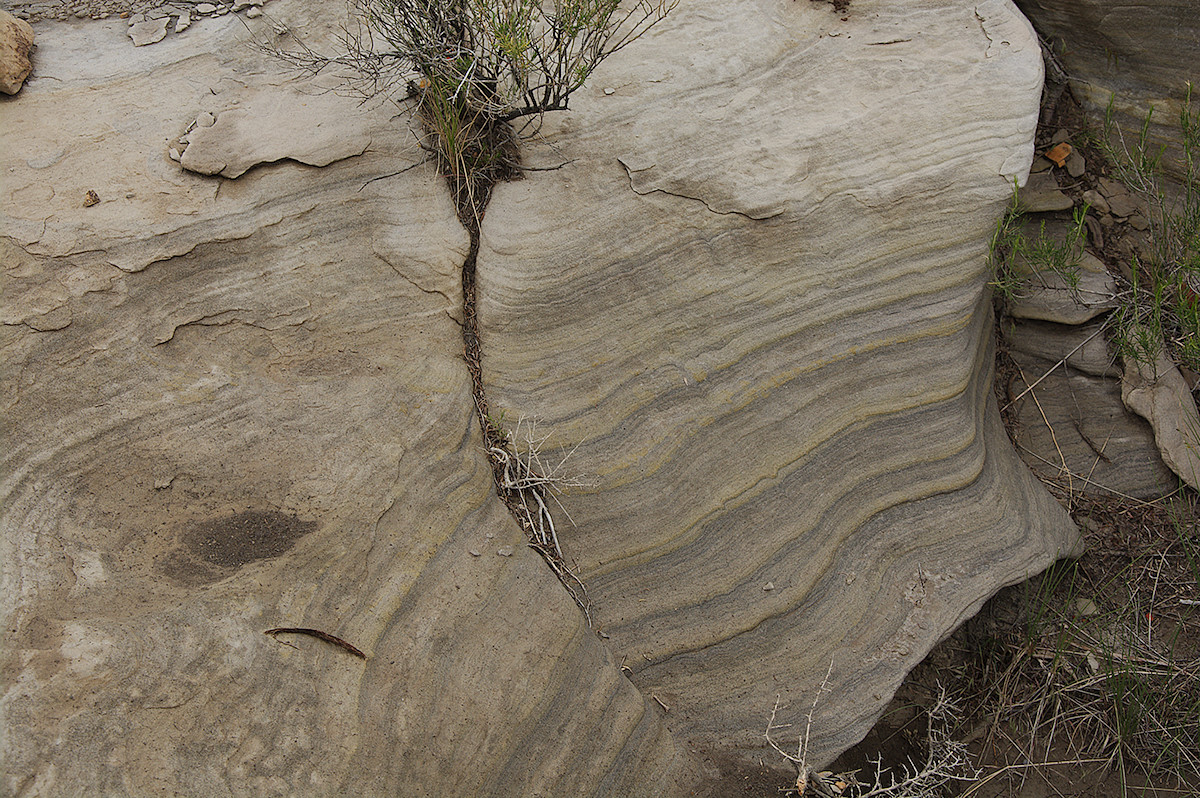 Gargoyle Canyon