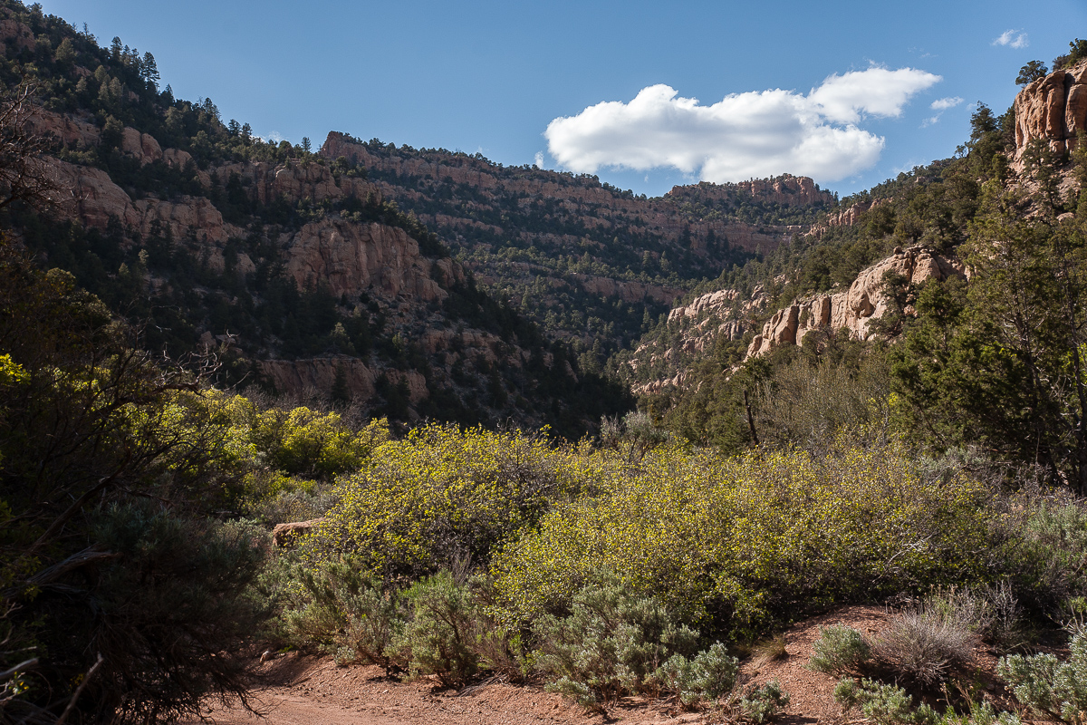 Sego Canyon