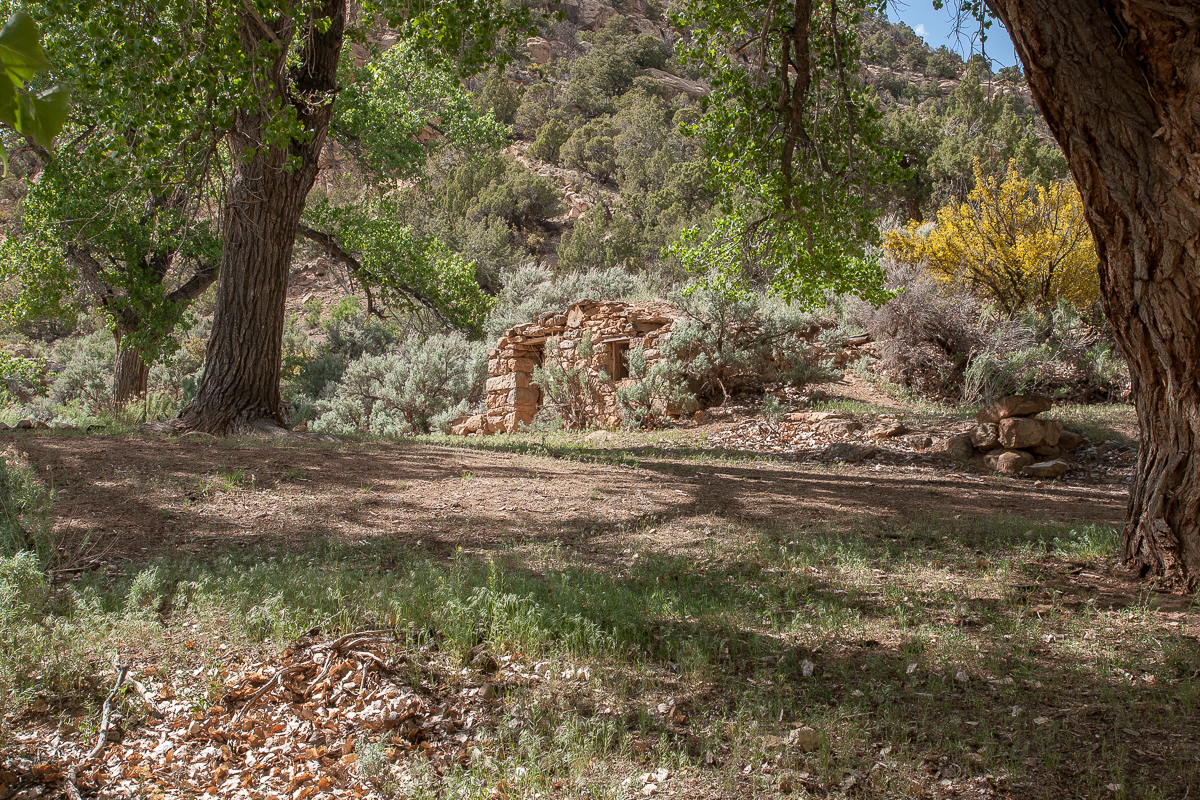 Thompson Canyon Ruin