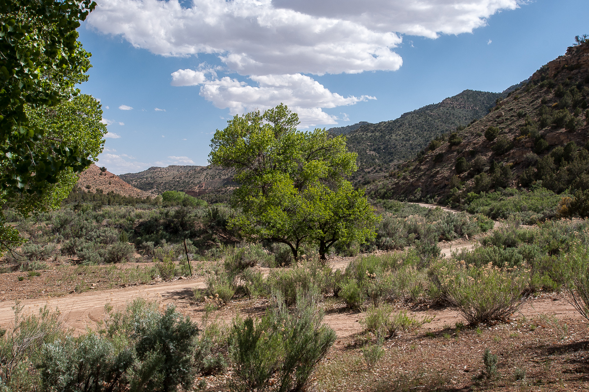 Thompson Canyon Road