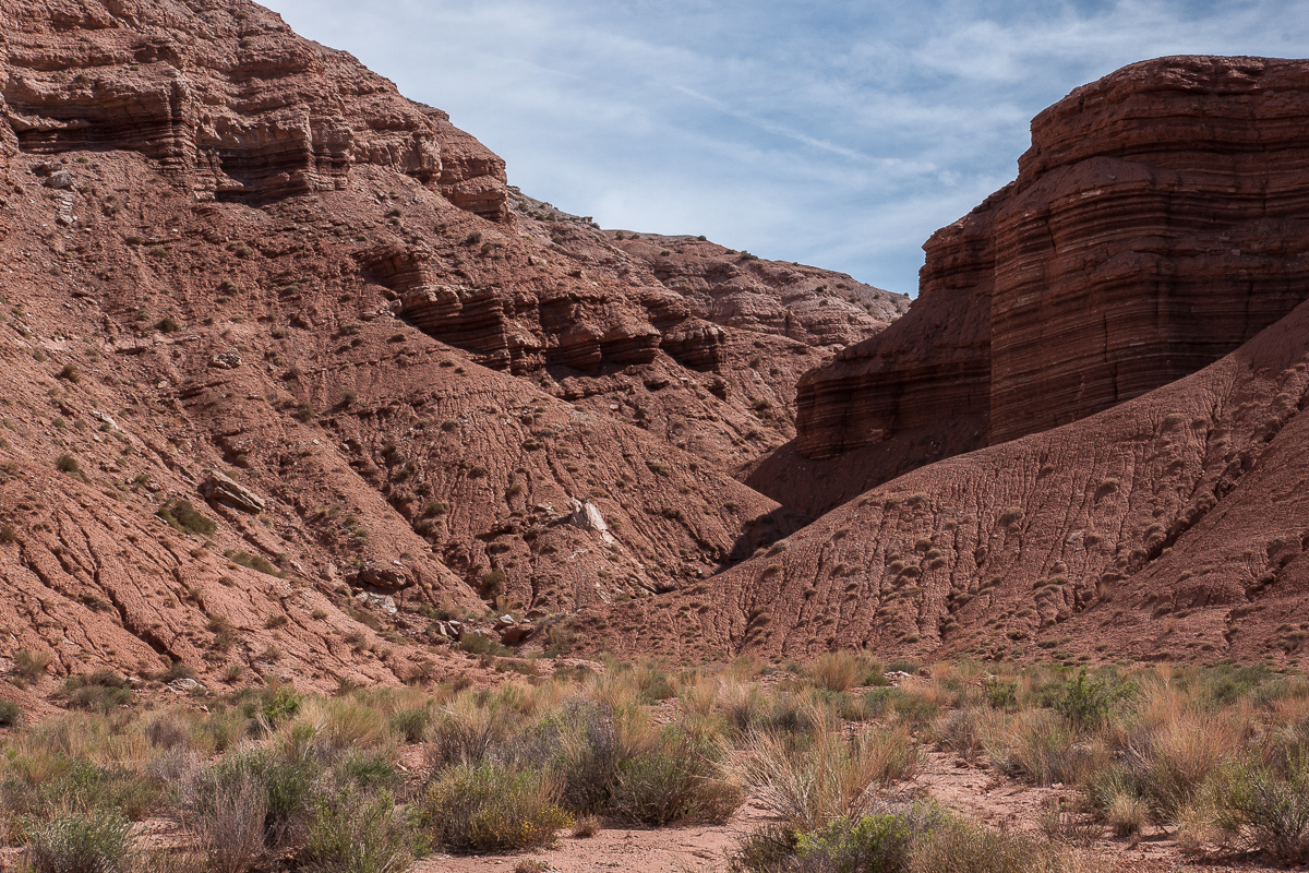 Red Desert Wash