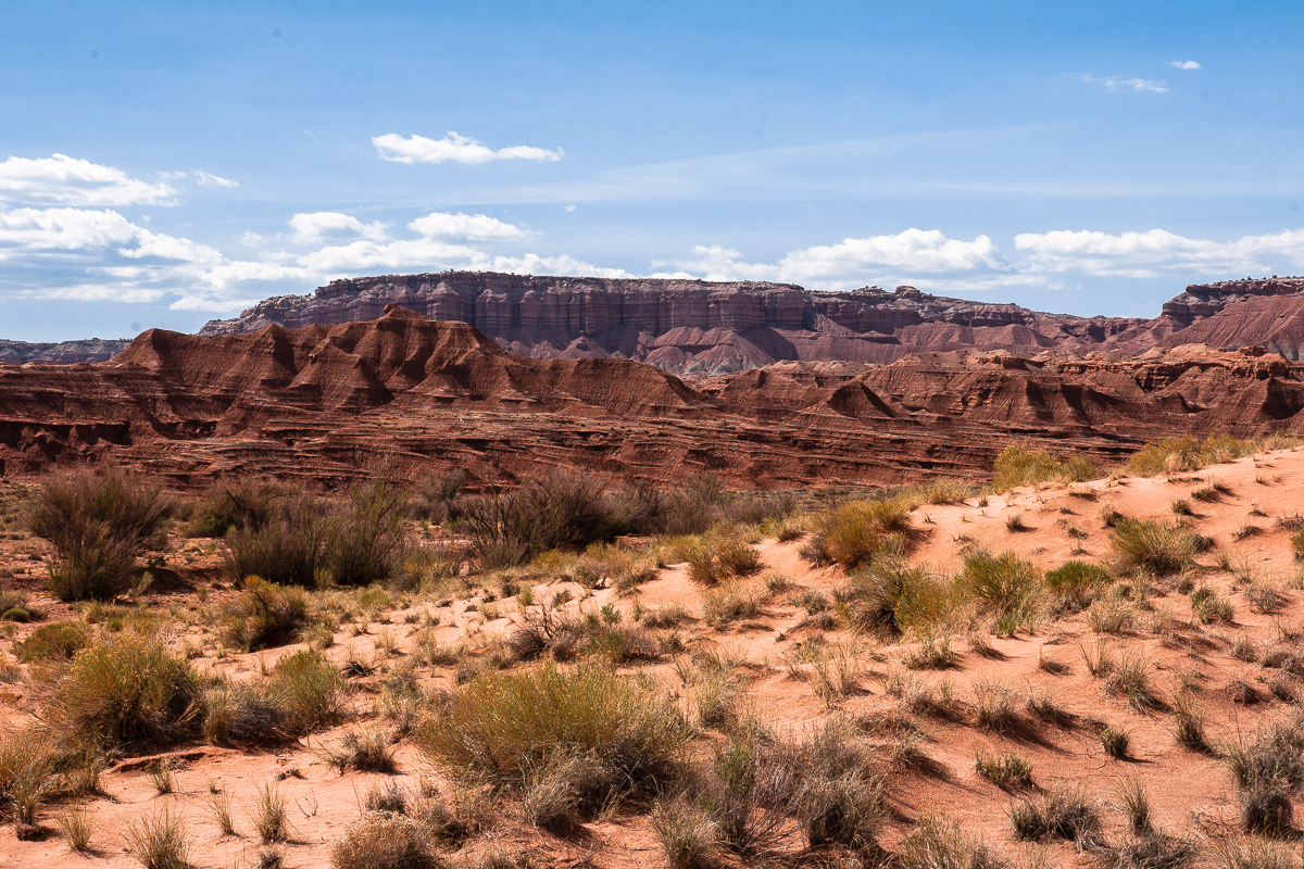 Red Desert