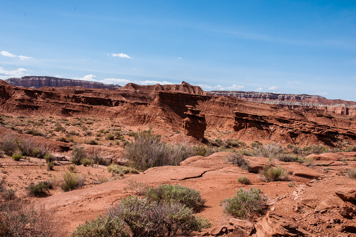 Red Desert