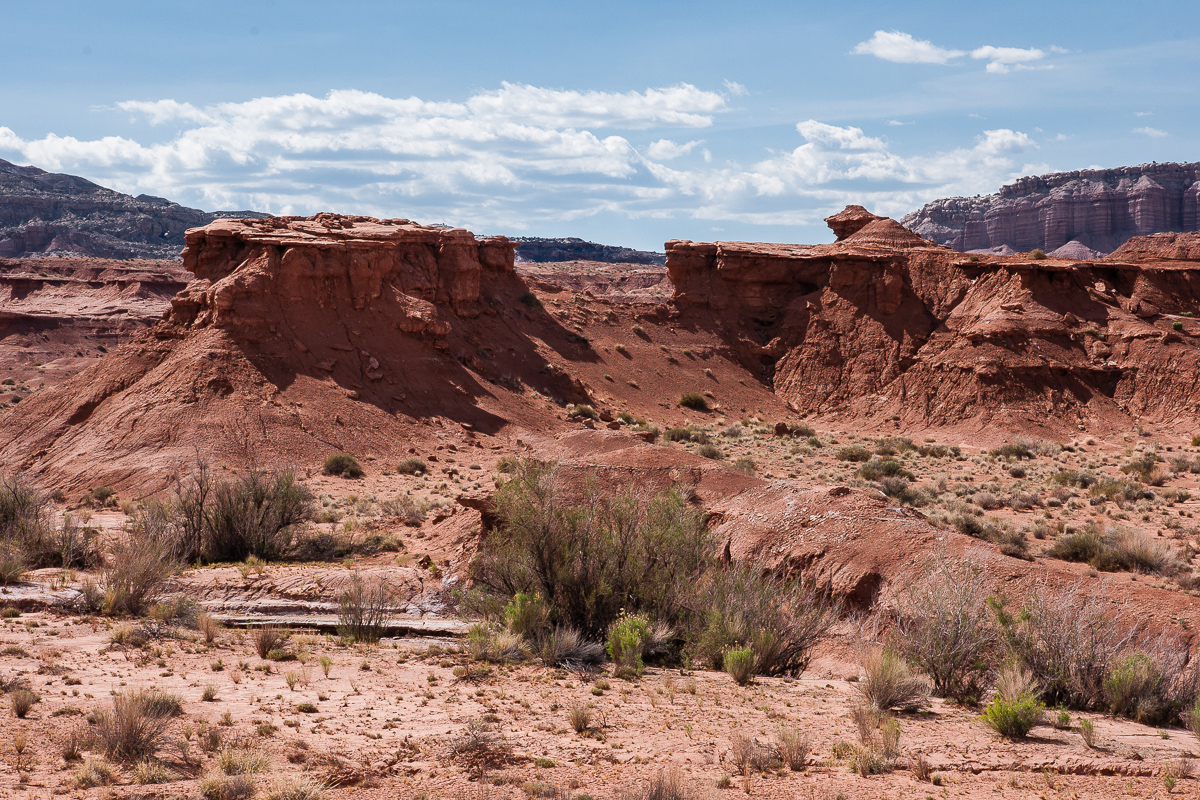 Red Desert