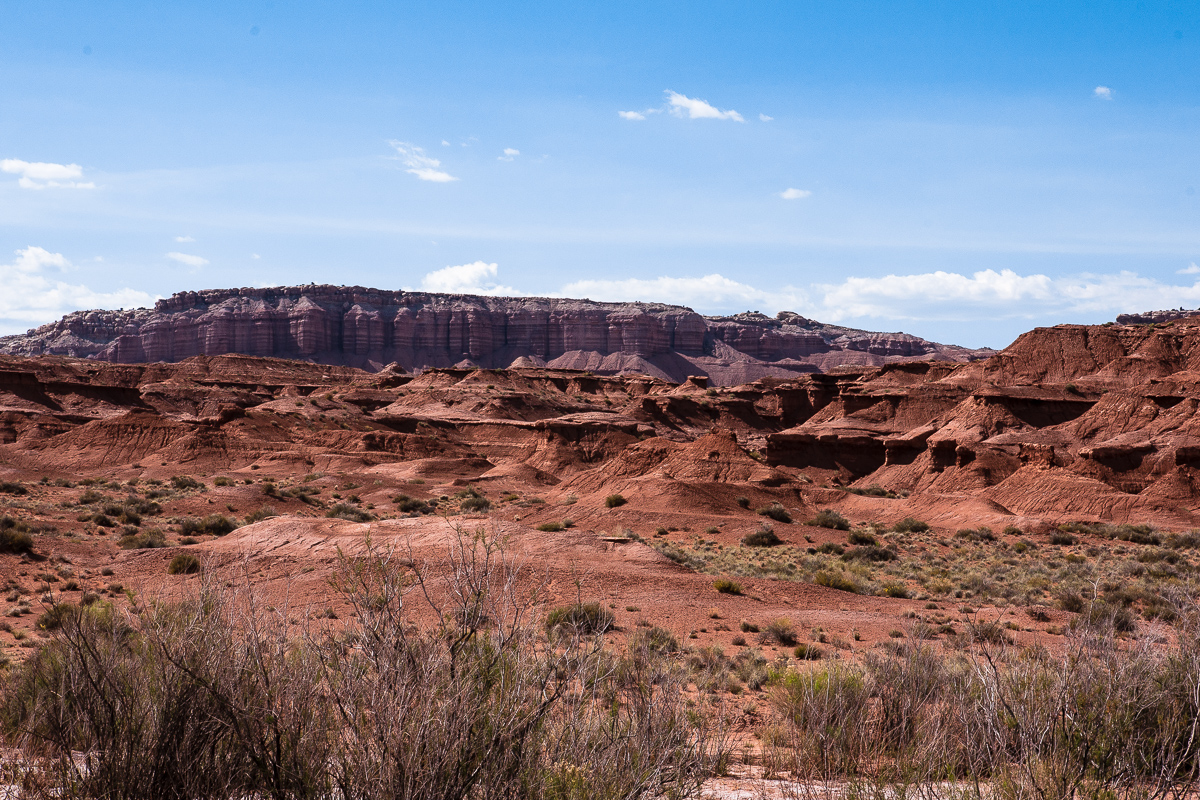 Red Desert