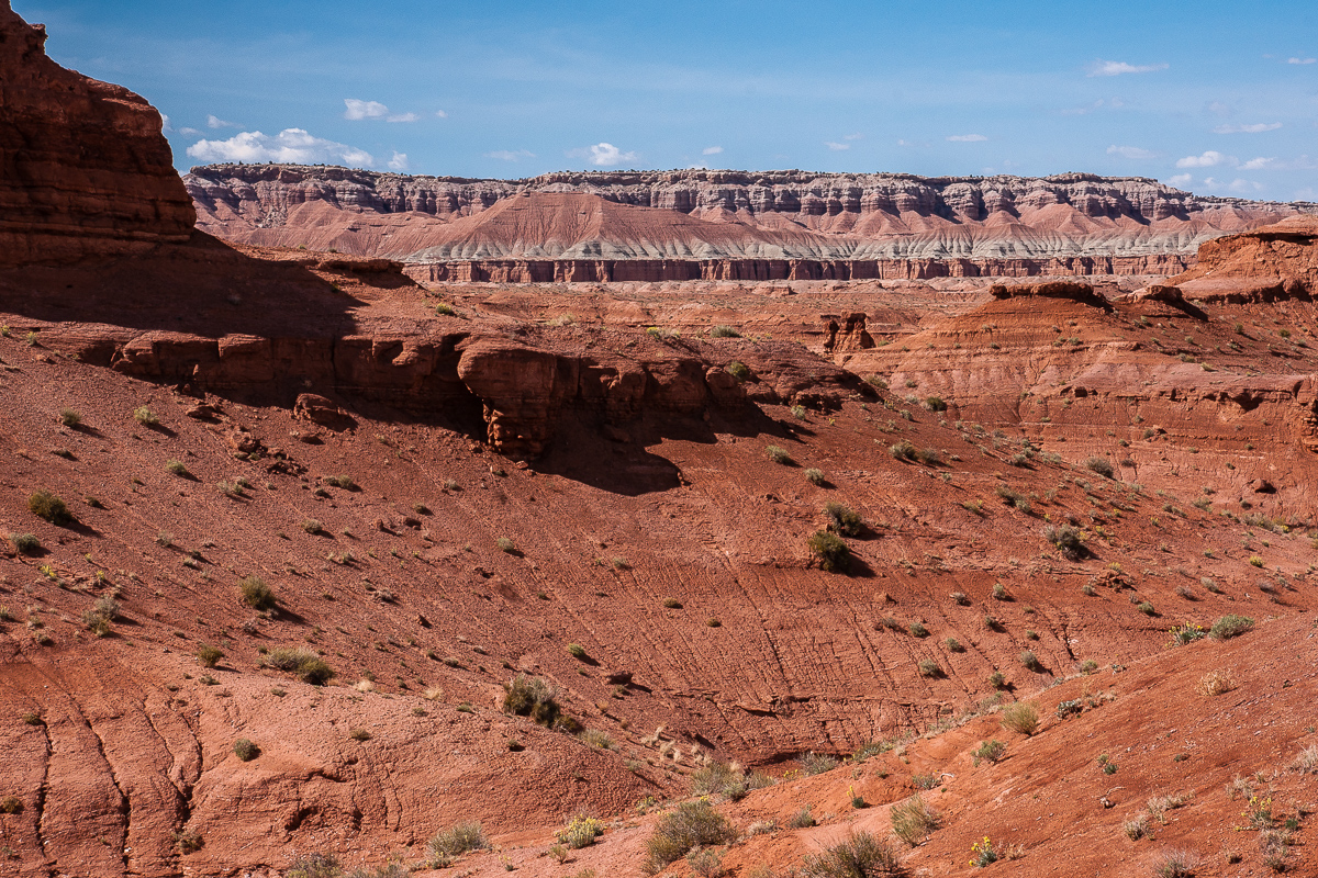 Red Desert