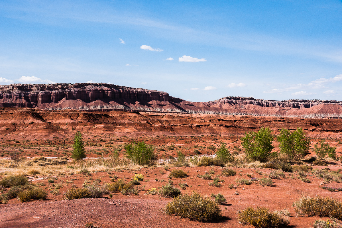 Red Desert