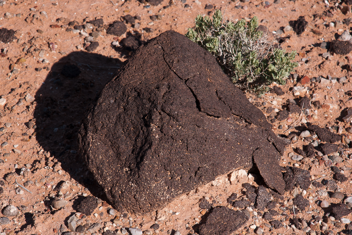 Lava in der Red Desert