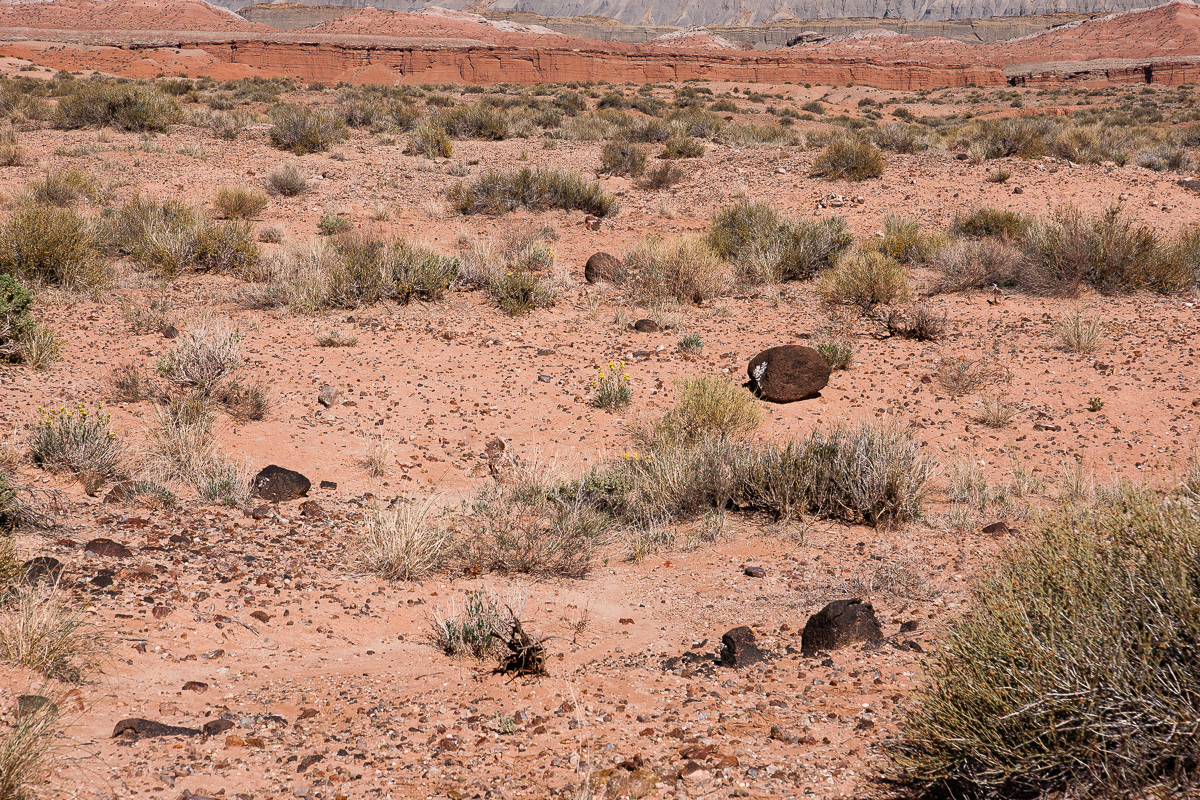 Red Desert