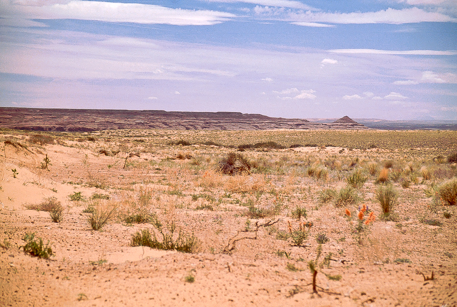 Gruyver Mesa und The Cone