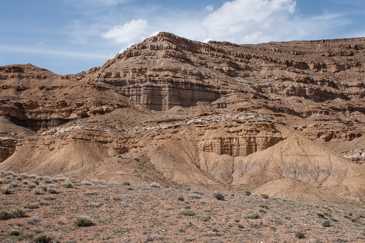 Coal Canyon Bench