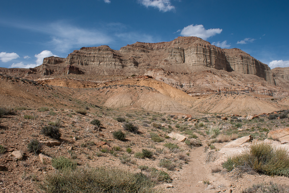 Coal Canyon Bench