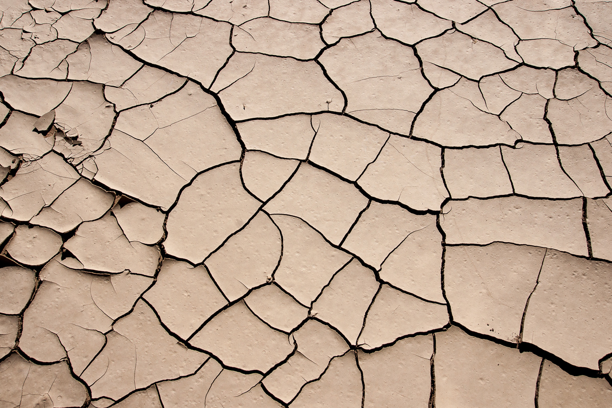 Mud Cracks