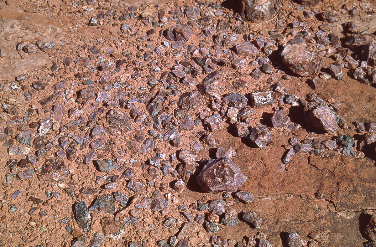 Agate, Chert auf dem Entrada Gap Trail