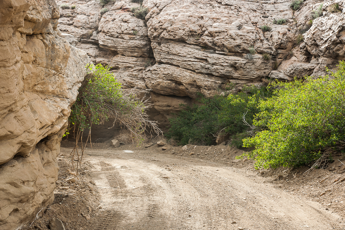 Horse Canyon