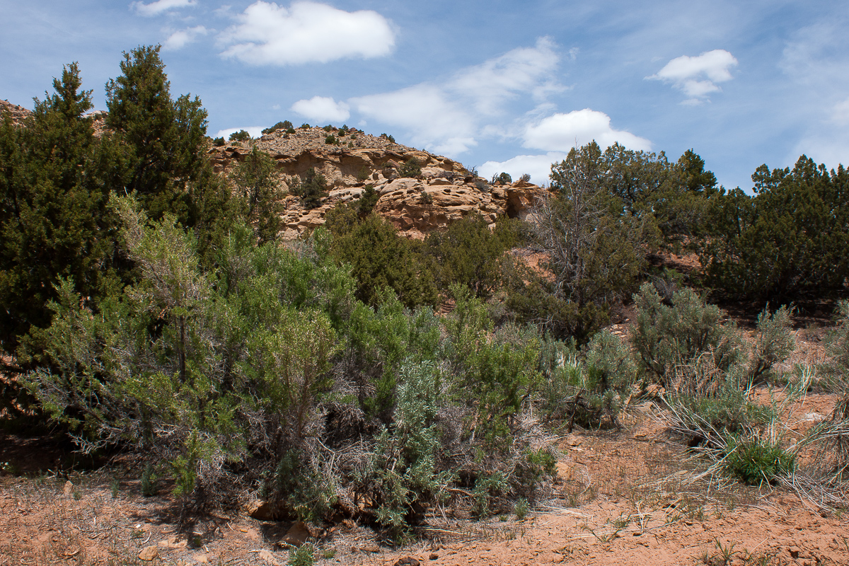 Right Hand Tusher Canyon