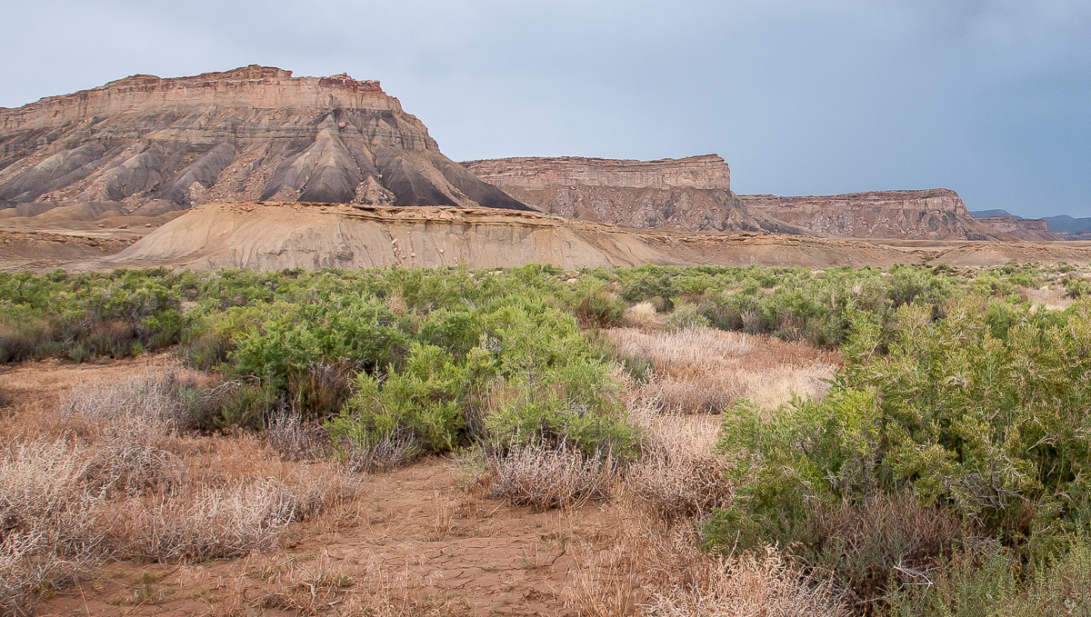 Hatch Mesa