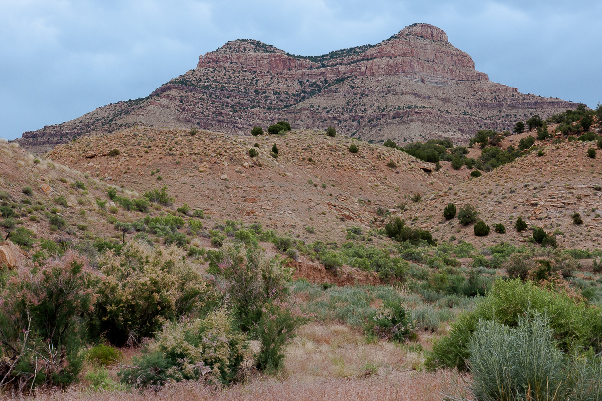 Floy Wash Area