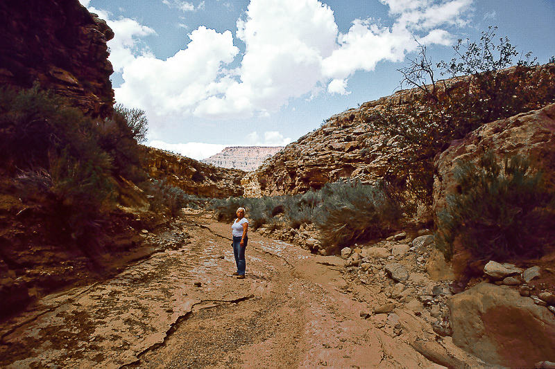 Tusher Canyon