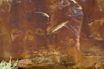 Tusher Canyon Petroglyphs