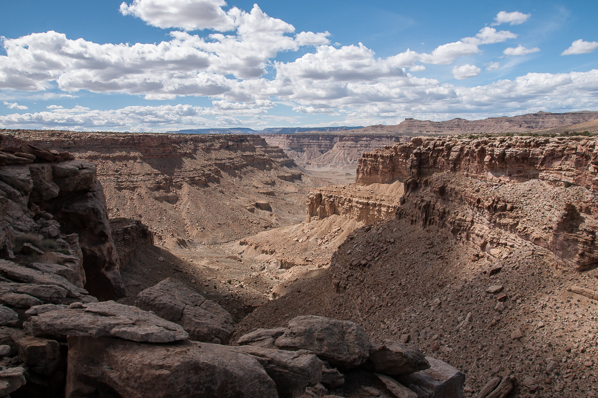 Seitenarm des Tusher Canyons