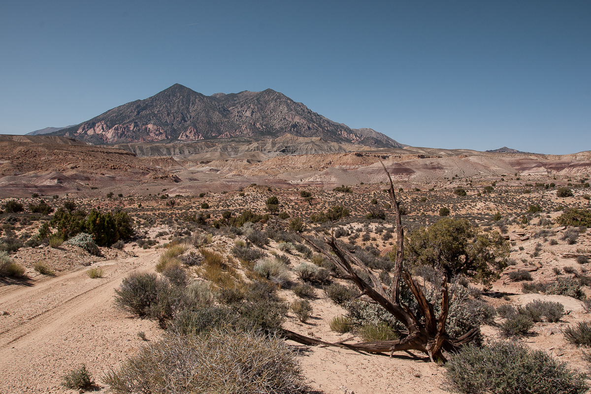 Copper Creek Loop