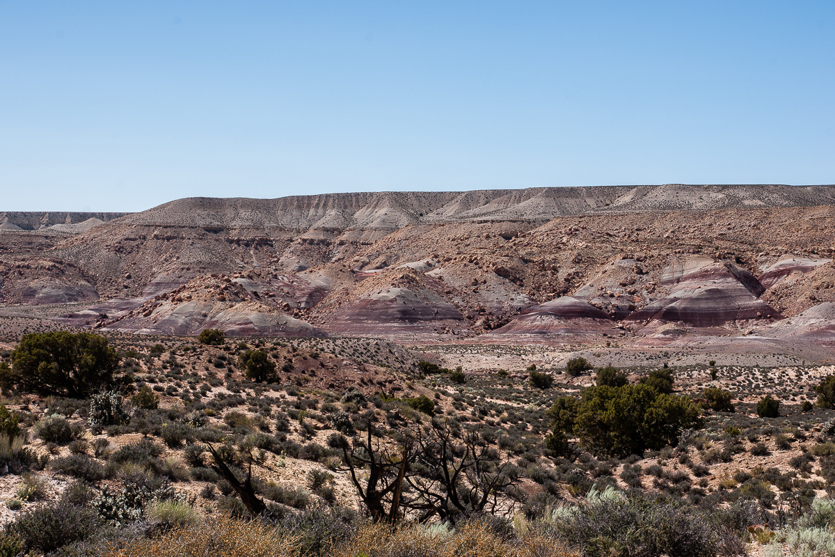 Coal Bed Mesa