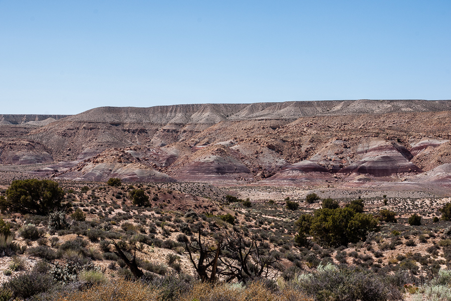 Coal Bed Mesa