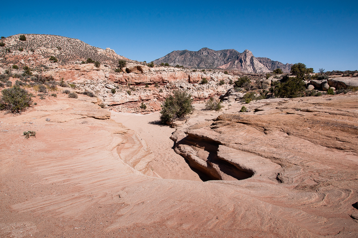 Copper Creek Loop