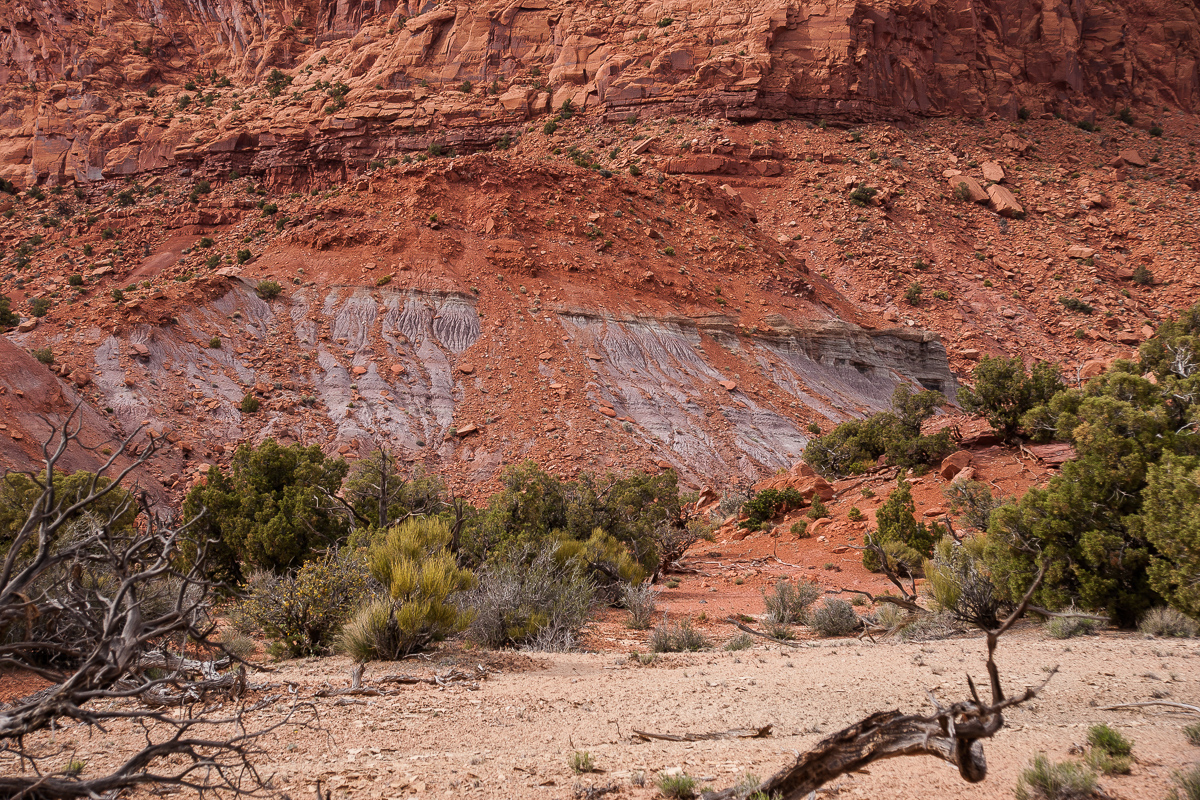 Orange Cliffs