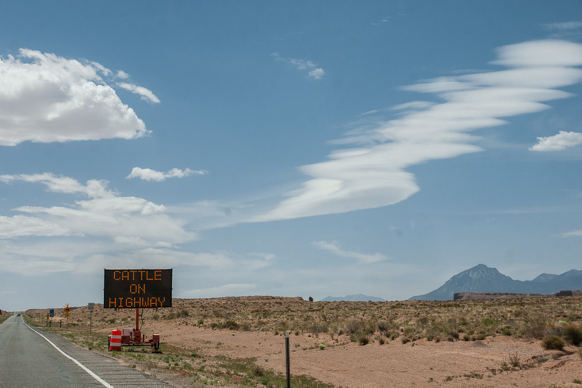 Open Range Hanksville