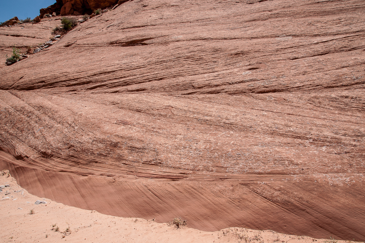 Navajo Sandstone