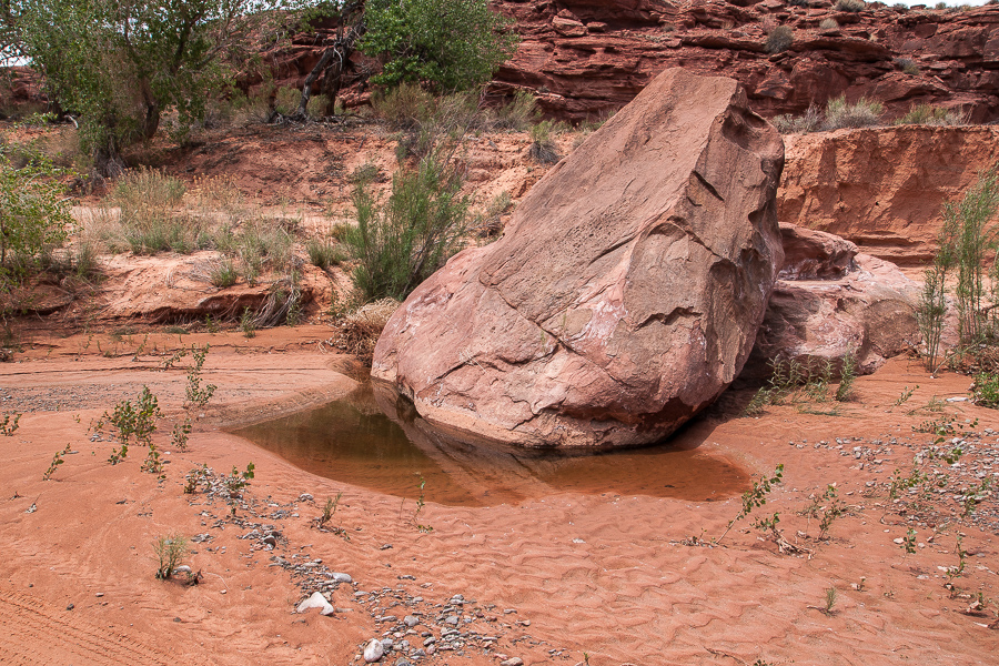 Poison Spring Canyon