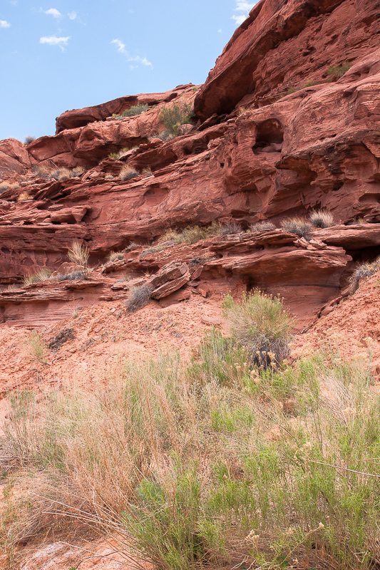 Kayenta Sandstone im Poison Spring Canyon