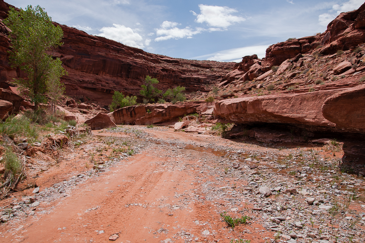 Poison Spring Canyon