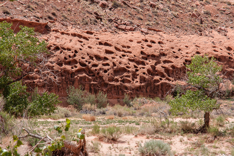 Poison Spring Canyon