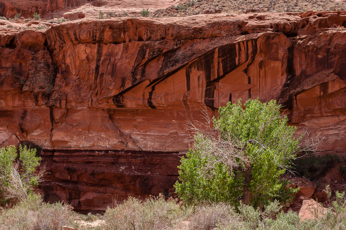 Poison Spring Canyon