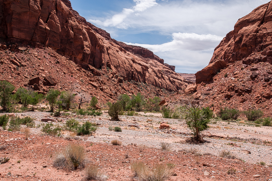 Poison Spring Canyon