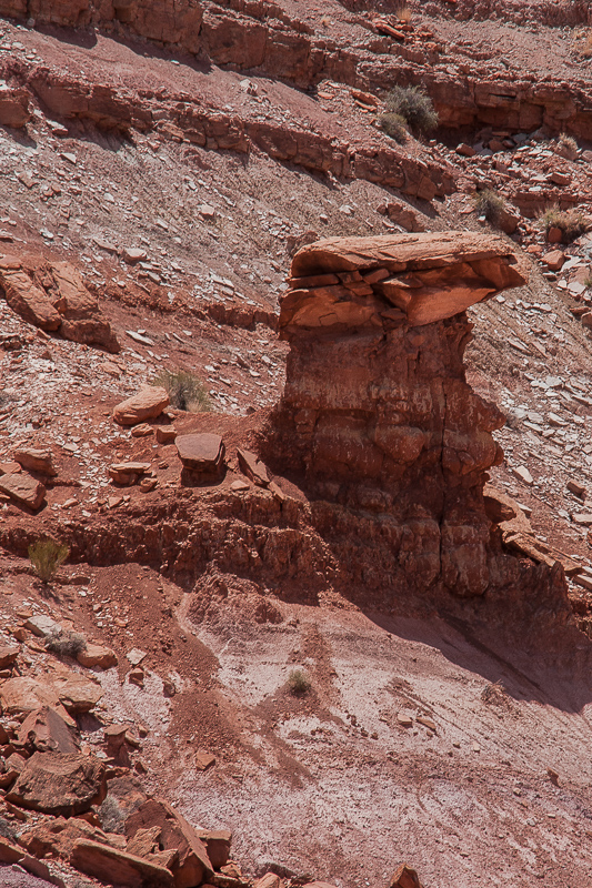 Poison Spring Canyon