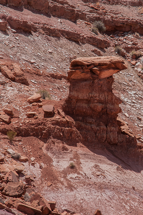 Poison Spring Canyon