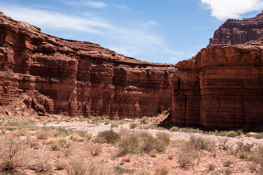 Poison Spring Canyon