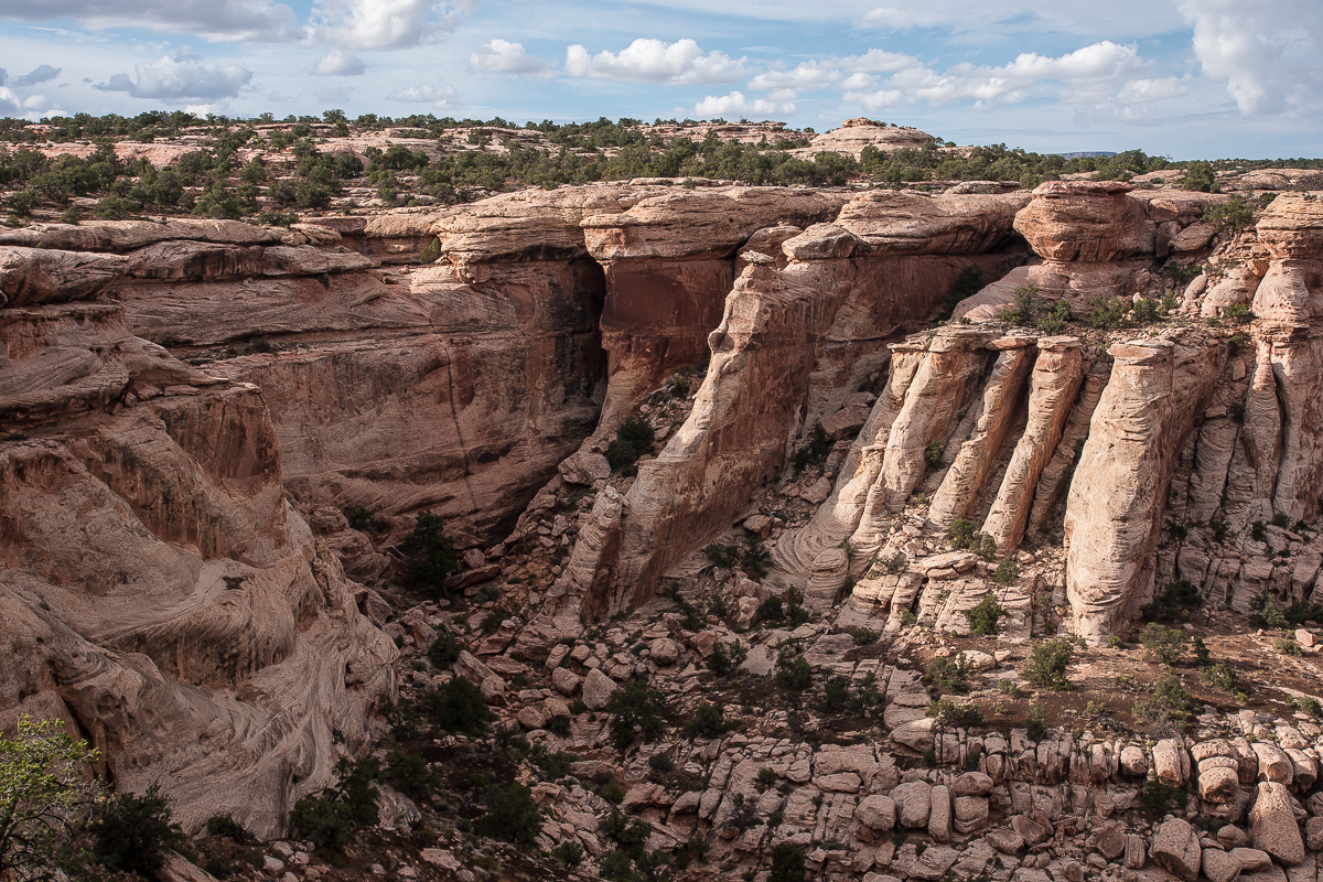 Fins am Cataract Canyon