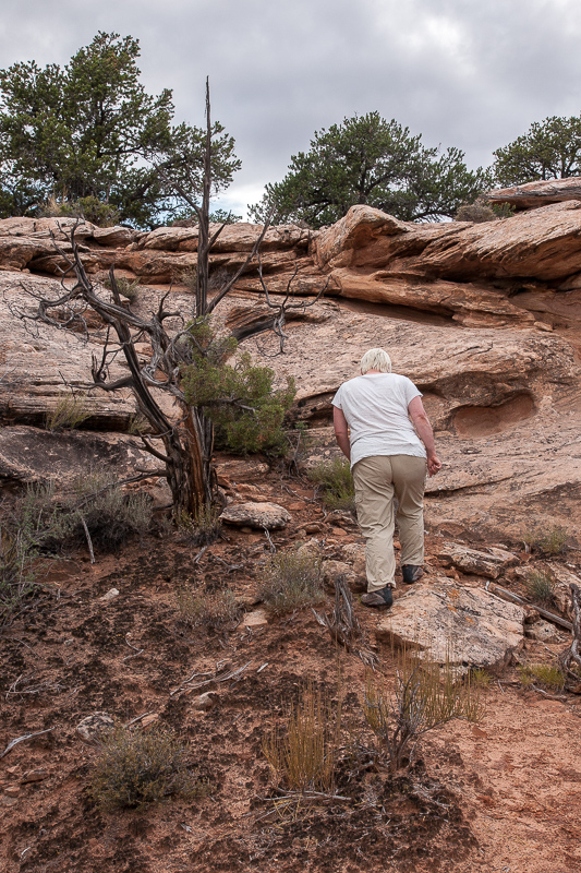 Cataract canyon