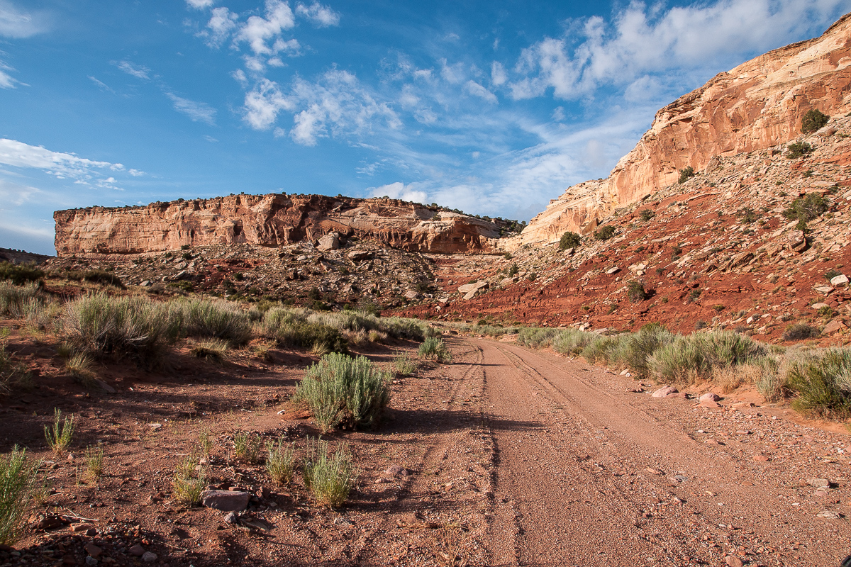 Cove Canyon Wash